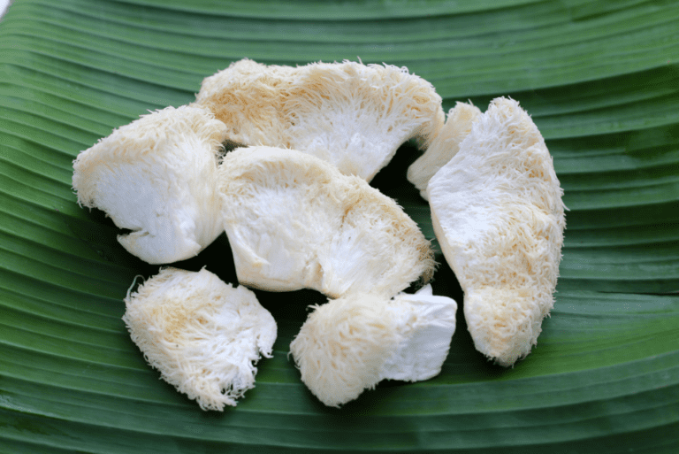 lion's mane mushrooms slices